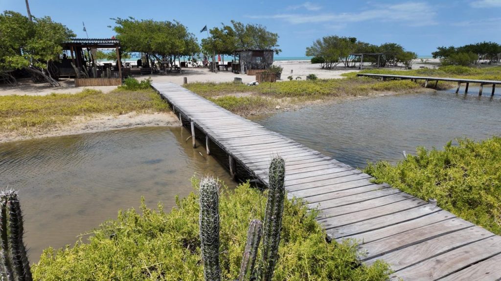 WhatsApp Image 2026-03-30 at 22.11.47